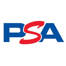 PSA Grading (Economy Service)